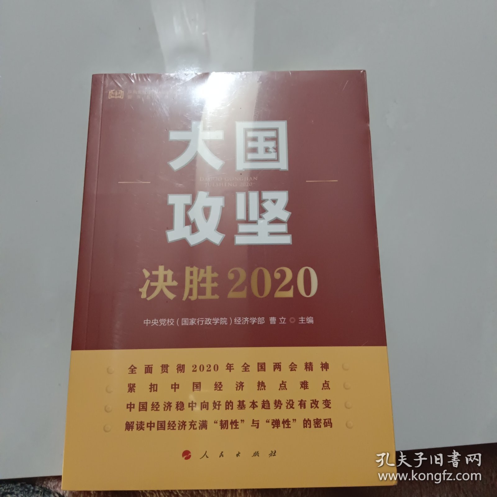 大国攻坚：决胜2020（中央党校（国家行政学院）智库系列丛书）