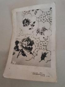 老照片 80年上半年（烟台）全国针棉织品供应交流会 毛巾花样