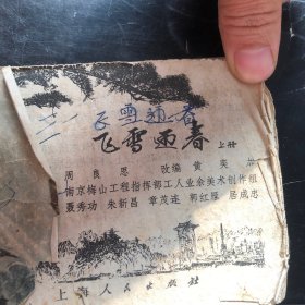 飞雪迎春