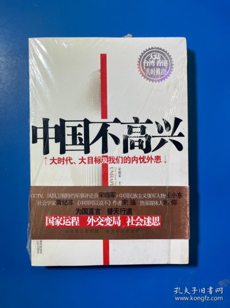 中国不高兴：大时代大目标及我们的内忧外患