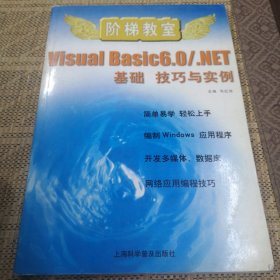 Visual Basic 6.0/.NET基础 技巧与实例