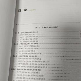 国家分析报告2021