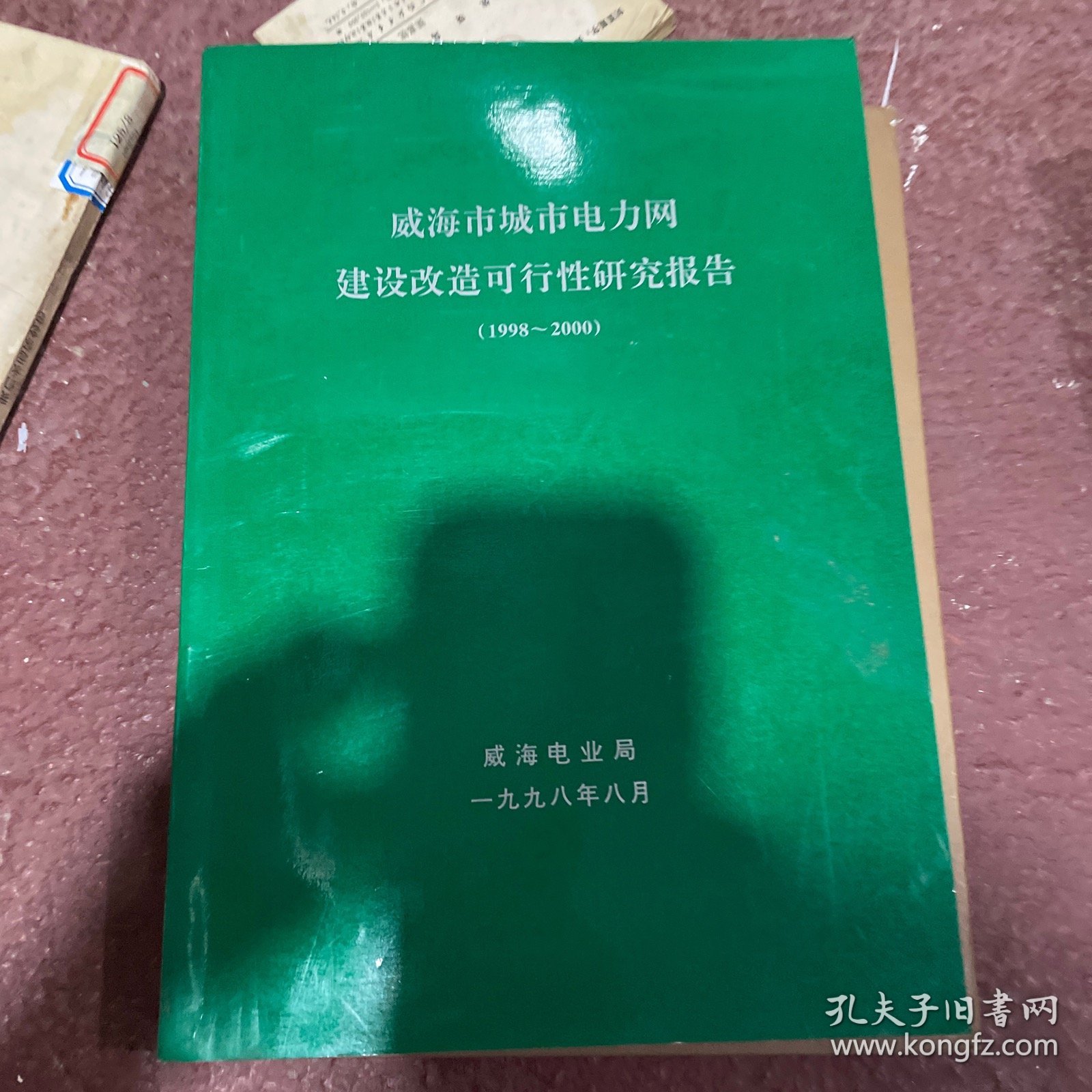 威海市城市电力网建设改造可行性研究报告