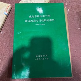 威海市城市电力网建设改造可行性研究报告