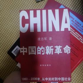 中国的新革命：1980-2006年，从中关村到中国社会