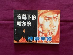 夜幕下的哈尔滨（4）——冲出牢笼