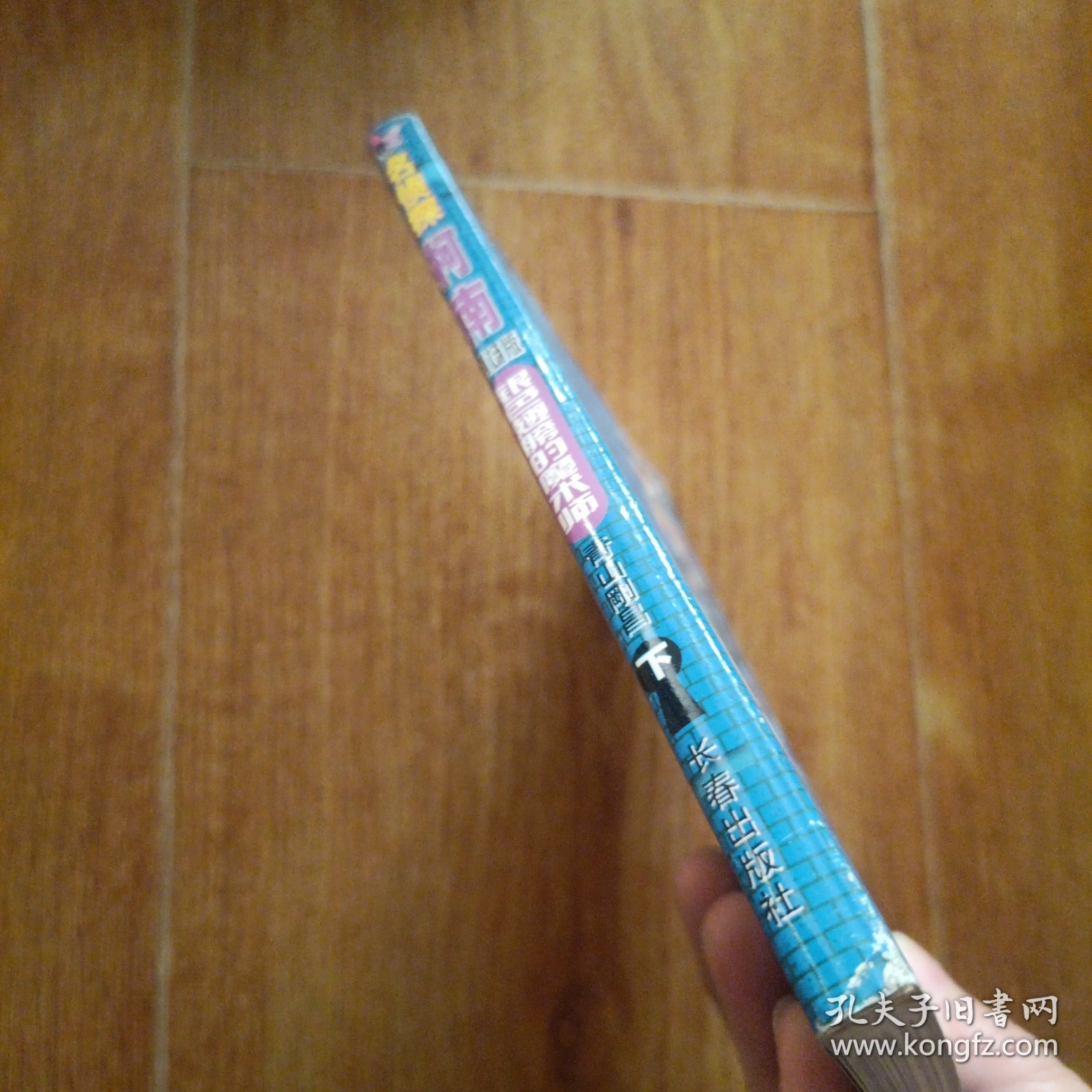 银色翅膀的魔术师（下）