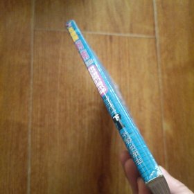 银色翅膀的魔术师（下）