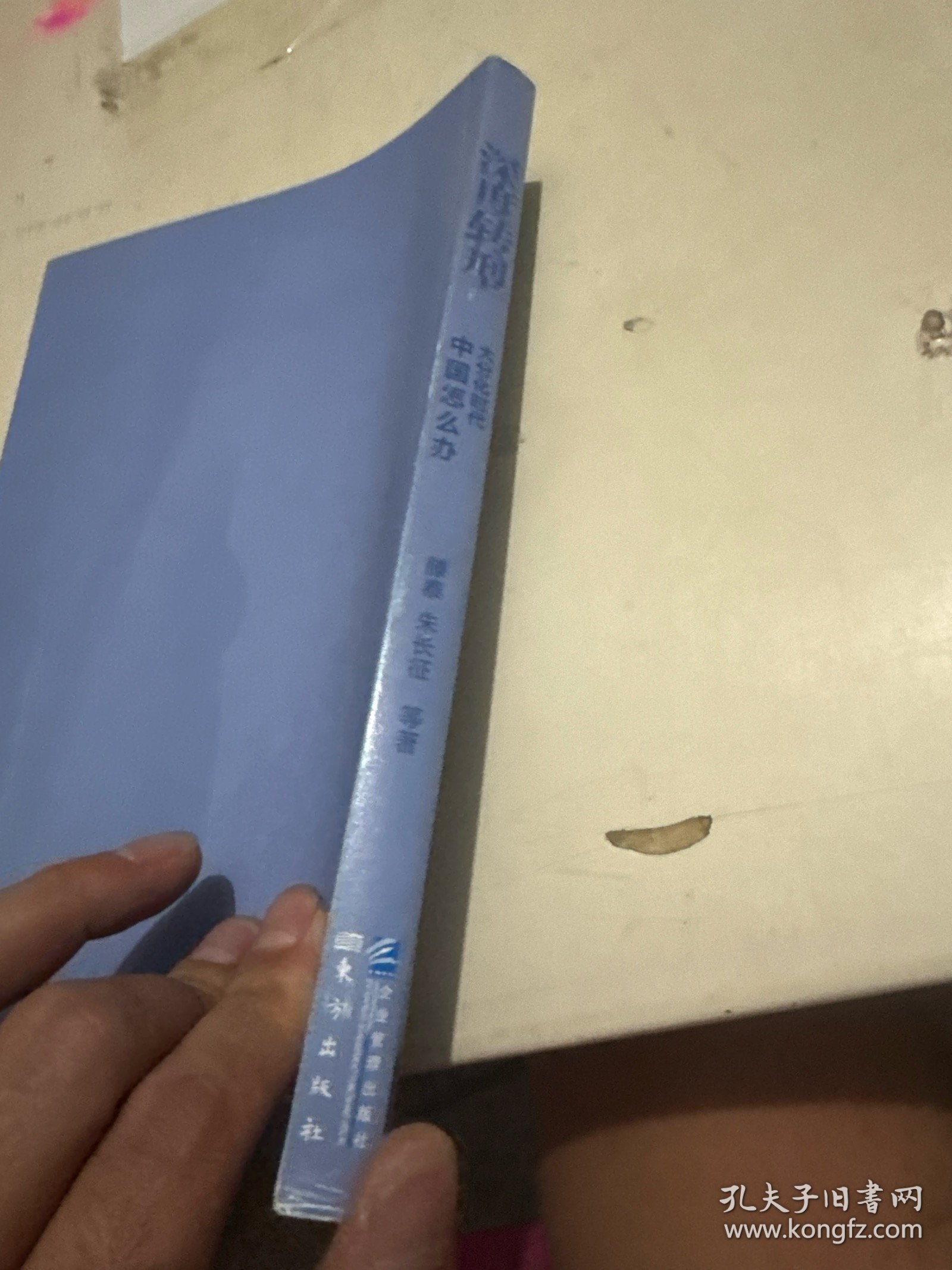 深度转型：大分化时代中国怎么办