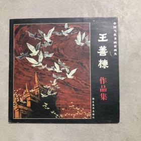 中國當代書畫家畫叢 王善棟作品集