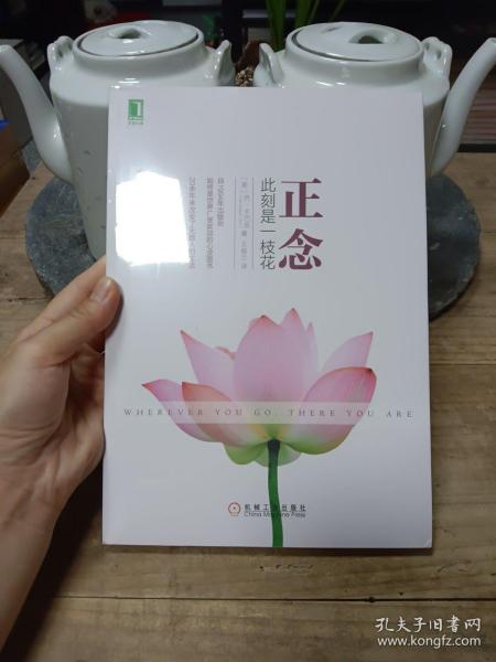 正念：此刻是一枝花