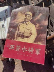 王麓水将军