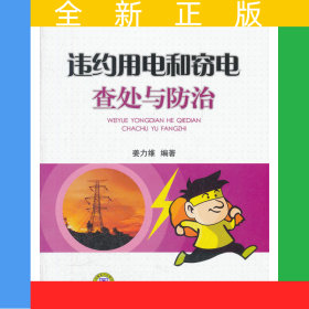 供电企业常见法律风险防范与处理丛书 违约用电和窃电查处与防治