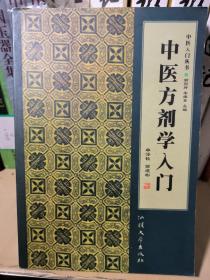 中医内科学入门——中医入门丛书