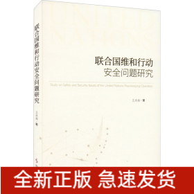 聯(lián)合國維和行動安全問題研究