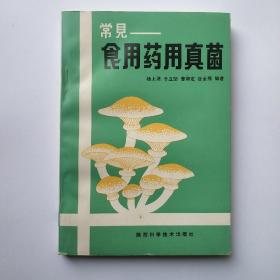 常见食用药用真菌