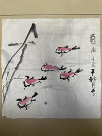 范磊 鱼图 鱼画 字画 纯手绘 国画 斗方 作品