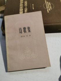 诗歌集