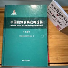 中国能源发展战略选择（上、下两册）