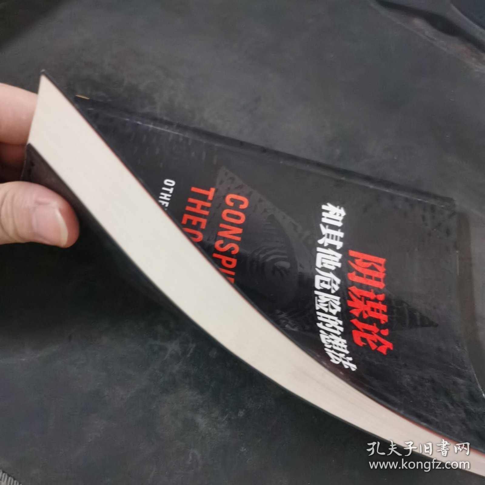 阴谋论和其他危险的想法