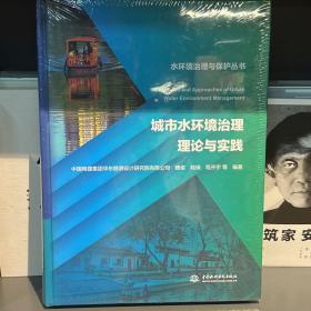 城市水环境治理理论与实践（水环境治理与保护丛书）