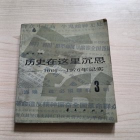 历史在这里沉思 1966～1976年记实