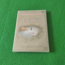 国画书法系列：名碑导临（2片装 DVD）未拆封