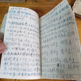 老中医手抄验方中医笔记！医治毒蛇咬伤处方，治牙痛良方（北流县民安区蛇佬梁浅灰处方）治男女无生育药方，驱逐狐臭散，等等验方，写有验方的有28页