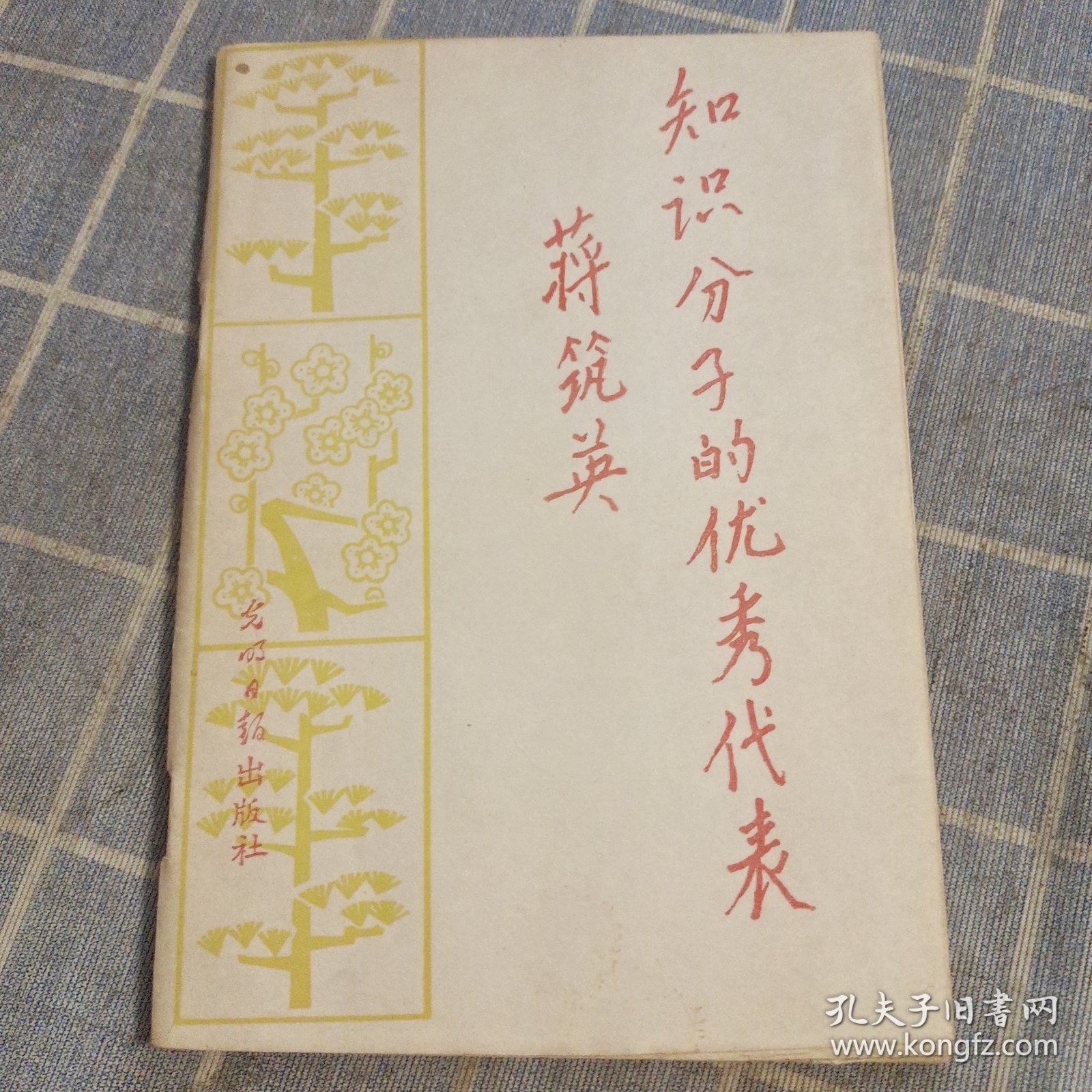 知识分子的优秀代表蒋筑英