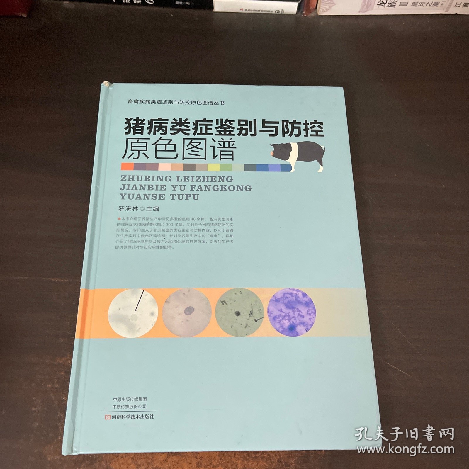 点击查看原图 猪病类症鉴别与防控原色图谱