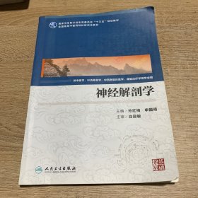 神经解剖学