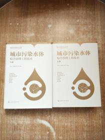 城市污染水體綜合治理工程技術(shù) 上下冊(cè)