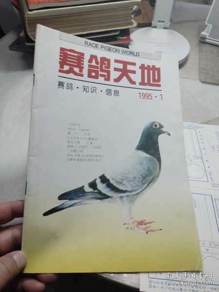 创刊号《赛鸽天地》1995年 第1期 总第1期 有彩插 杂志