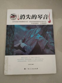 麦林悬疑-消失的琴音