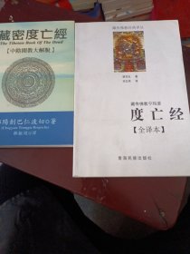 藏传佛教宁玛派(度亡经全译本)/藏传佛教经典译丛