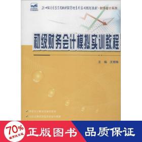 初級財務模擬實訓教程 大中專文科社科綜合 王明珠