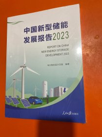 中国新型储能发展报告 . 2023