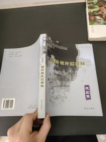 追兵足音:媒体视野中的河源