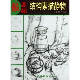 结构素描静物 美术技法 田浩, 汤耀华