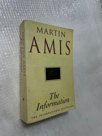 MARTIN AMIS The Information