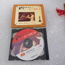 奥斯卡经典钜片系列VCD，【养子不教谁之过】，原版原声中文字幕，【2碟装】