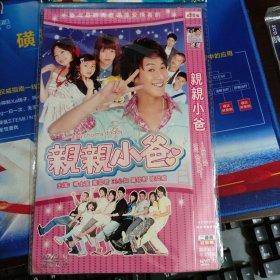 台湾偶像剧喜剧：亲亲小爸 2DVD