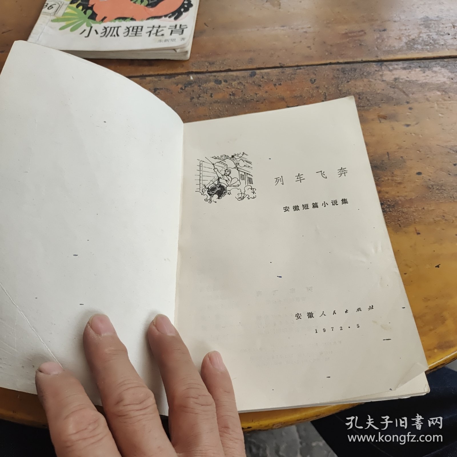列车飞奔：安徽短篇小说集