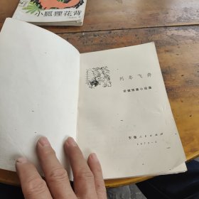 列车飞奔：安徽短篇小说集