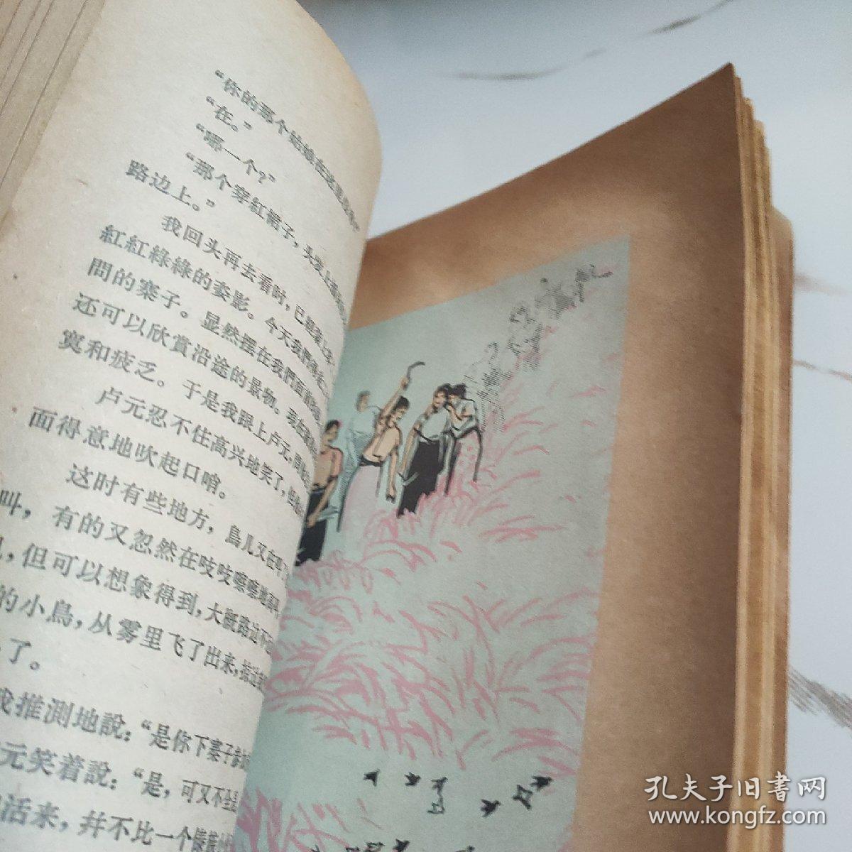 南行记续篇【插图本馆藏】