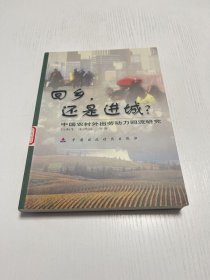 回乡，还是进城？:中国农村外出劳动力回流研究