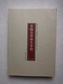 湖湘红色基因文库（24）：茶陵县革命斗争史1921-1949