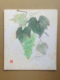 558日本卡纸色纸画，回流老字画。纯手绘，写意国画，水墨画。色纸。疏果。水果，葡萄