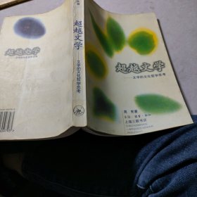 超越文学：文学的文化哲学思考