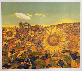 金晓华《向阳花》